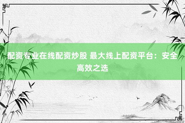 配资专业在线配资炒股 最大线上配资平台：安全高效之选