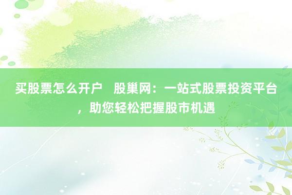 买股票怎么开户   股巢网：一站式股票投资平台，助您轻松把握股市机遇