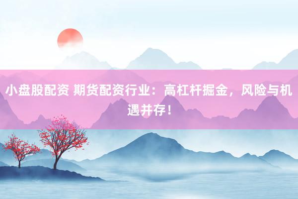小盘股配资 期货配资行业:高杠杆掘金,风险与机遇并存!