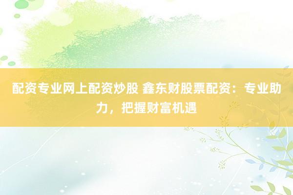 配资专业网上配资炒股 鑫东财股票配资:专业助力,把握财富机遇