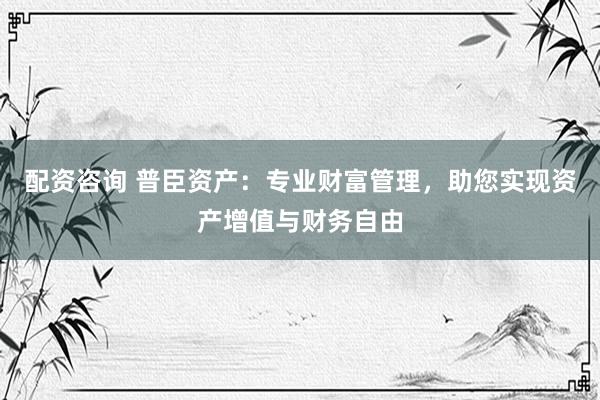 配资咨询 普臣资产：专业财富管理，助您实现资产增值与财务自由