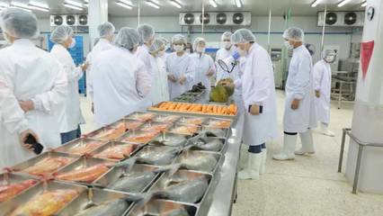 乖宝麦富迪“厂开玩”揭秘泰国工厂:主推猫产品 软包罐头月产能300吨