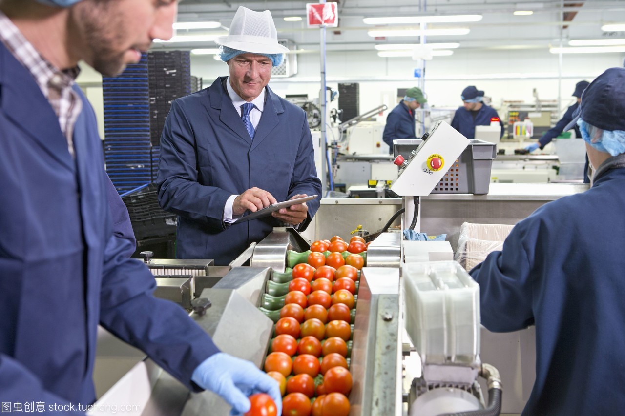 质量控制人员在食品加工厂生产线上检查熟透的红番茄